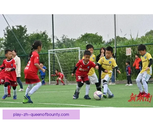 中国足球职业联赛推行最严格准入审核规范新规